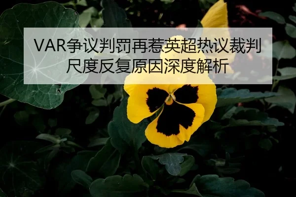 VAR争议判罚再惹英超热议裁判尺度反复原因深度解析