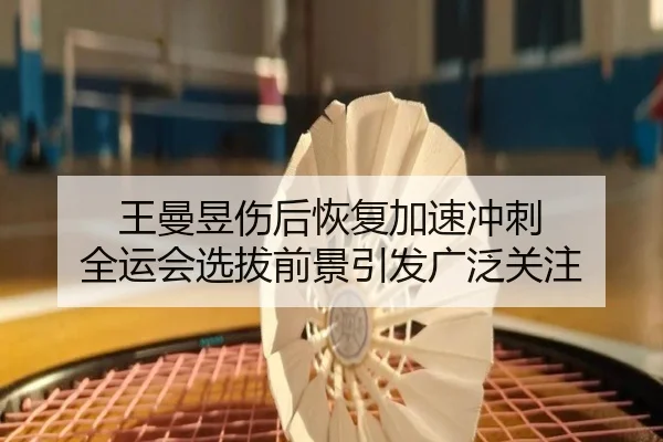 王曼昱伤后恢复加速冲刺 全运会选拔前景引发广泛关注